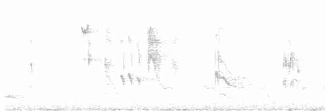 Cuitlacoche Ocelado - ML616534935