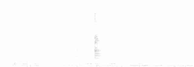 Бурая чернохвостка - ML616535792