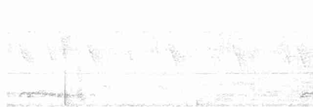 Zebra Dove - ML616536005