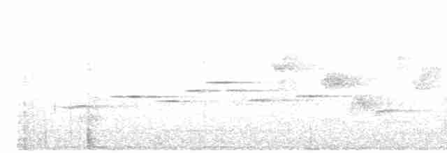 Sperlingsvogel, unbestimmt - ML616536116