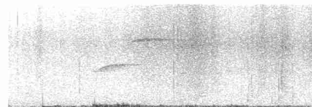 İri Gagalı Çıvgın - ML616536516