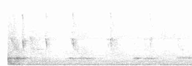 White-cheeked Barbet - ML616537604