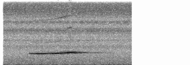 Marbled Wren-Babbler - ML616537799