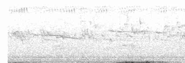 Graumantel-Brillenvogel - ML616537834