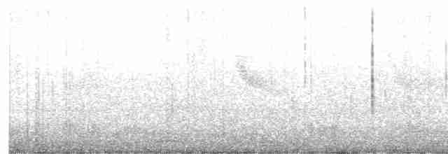 Oriental Magpie-Robin - ML616541047
