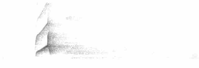 Sarı Karınlı Sinekkapan - ML616541061