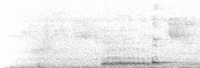 Кораловоклювая воронья кукушка - ML616541203
