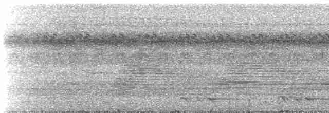 Great Eared-Nightjar - ML616541349