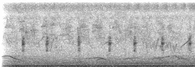 灰胸秧雞 - ML616542835