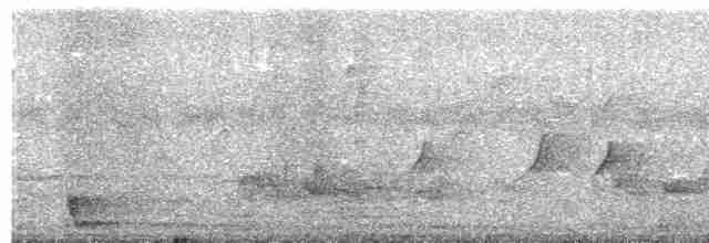 Large-tailed Nightjar - ML616545012