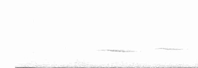 Uzun Gagalı Ardıç - ML616548461