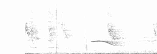 Spotless Starling - ML616548713