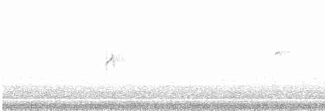 Gallinule poule-d'eau - ML616548730