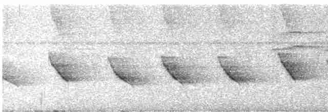 Белогорлая сорокопутовая танагра - ML616550227