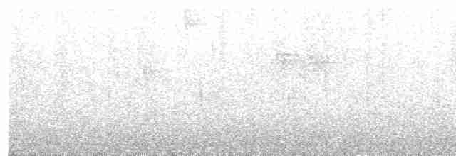 Мурашниця ураоанська - ML616550602