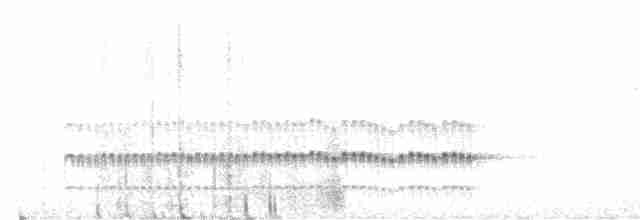Mérulaxe de Spillmann - ML616552016