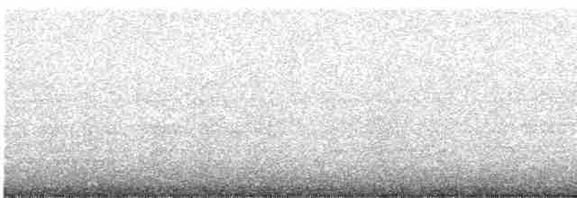 Кактусовый дятел - ML616553671