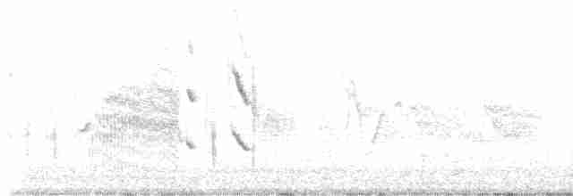 Hirondelle à front blanc - ML616555112
