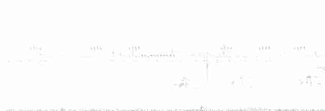 Eulerschnäppertyrann - ML616555502
