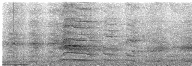 Андский скальный петушок - ML616557472