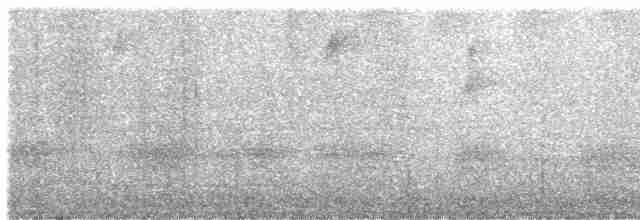 Гребенечуб андійський - ML616557473