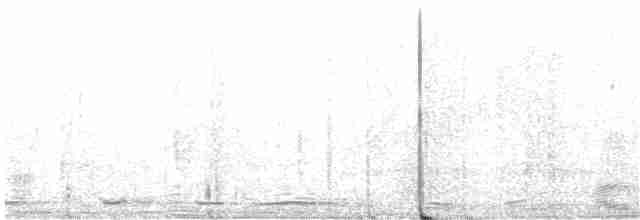 holub krátkozobý - ML616558840