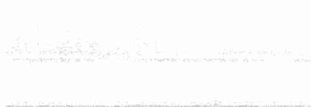 Southern Beardless-Tyrannulet - ML616559531