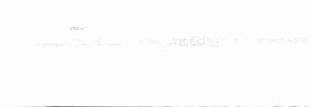 Дрізд-короткодзьоб андійський - ML616560392
