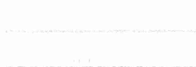 Мурашниця білогорла - ML616560943