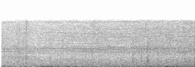 Момот широкодзьобий - ML616561272