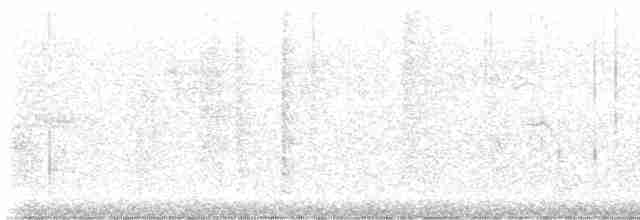 Weißkehlgerygone - ML616562492