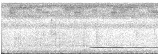Gray-legged Tinamou - ML616562507