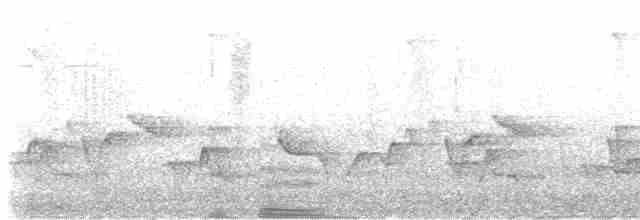 Серогрудый крапивник - ML616564407