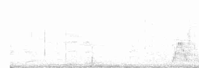 holoubek skřehotavý - ML616567153