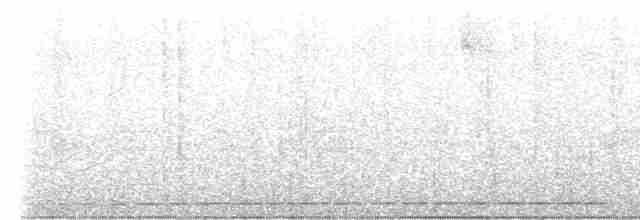 Grauscheitel-Ameisenpitta - ML616567200