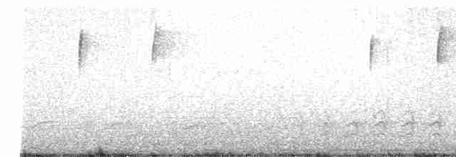Weißbrustkleiber - ML616567568