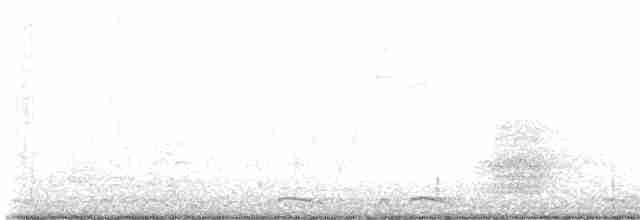 holoubek šupinkový - ML616568205
