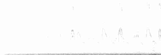 Mavi Kanatlı Ördek - ML616568953