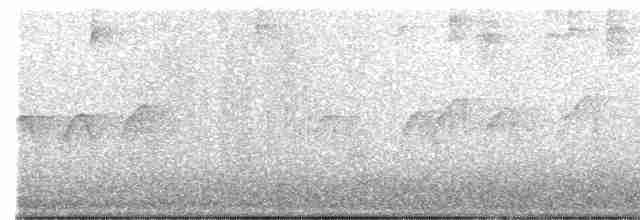 Вівсянка сиза - ML616571512