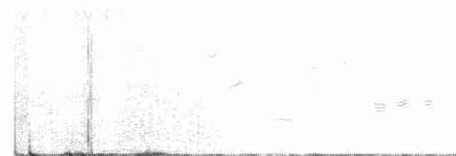 Black-throated Sparrow - ML616572126
