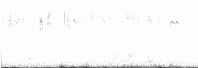 Buschschwanzmeise - ML616575254