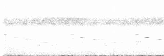 Psophode carillonneur - ML616576304