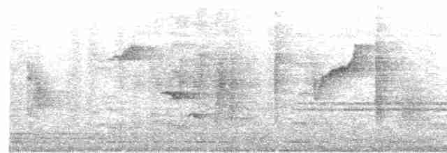 Large-billed Reed Warbler - ML616576857