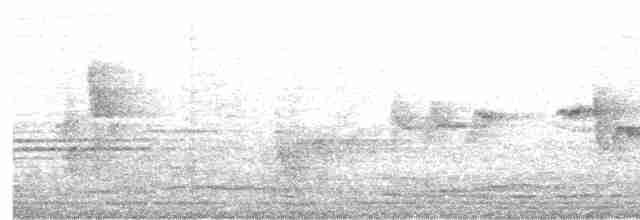 Large-billed Reed Warbler - ML616576859