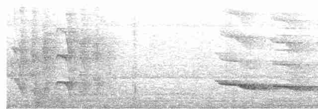 Large-billed Reed Warbler - ML616576860