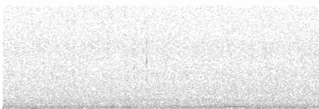 Скриточуб іржастоголовий - ML616578183