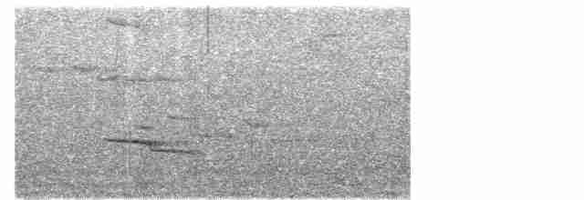 Серогрудый рогоклюв - ML616578487
