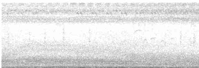 Lanceolated Warbler - ML616578805