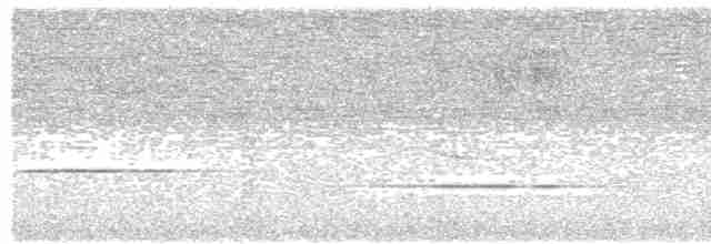 Каштановогрудый крапивник - ML616578926