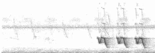 Gonolek des papyrus - ML616579388